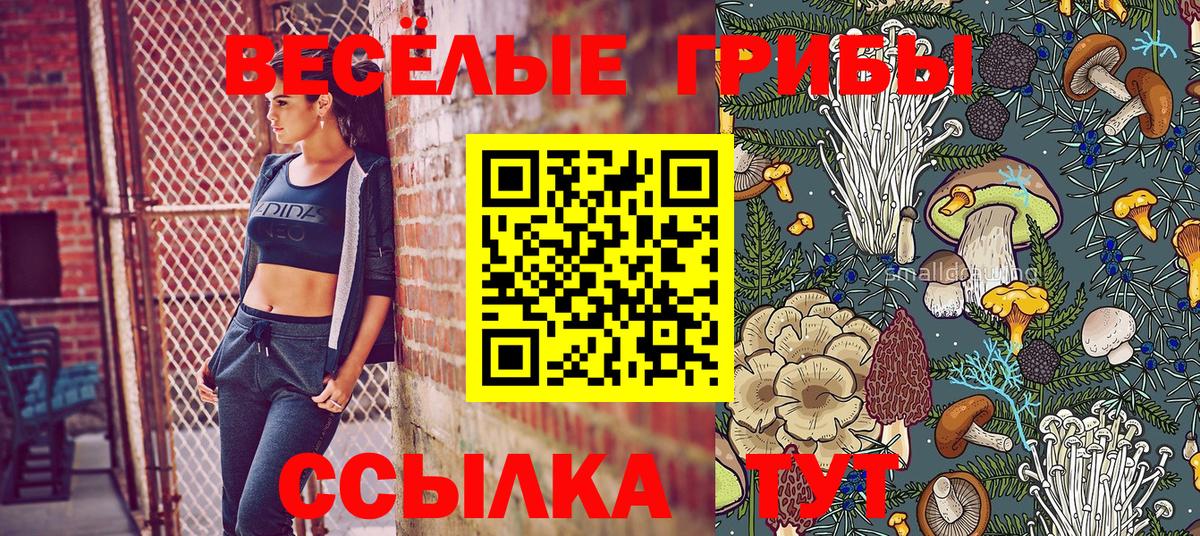 Северодвинск  Псилоцибиновые грибы Cubensis  Галлюциногенные грибы Psilocybine cubensis  Вход с VPN 